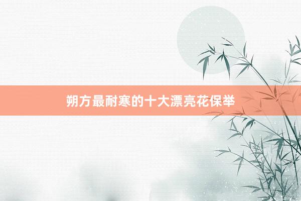 朔方最耐寒的十大漂亮花保举