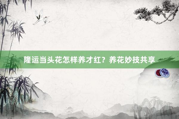 隆运当头花怎样养才红？养花妙技共享