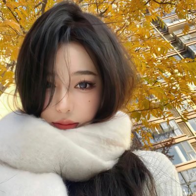 会长是女仆 特别篇